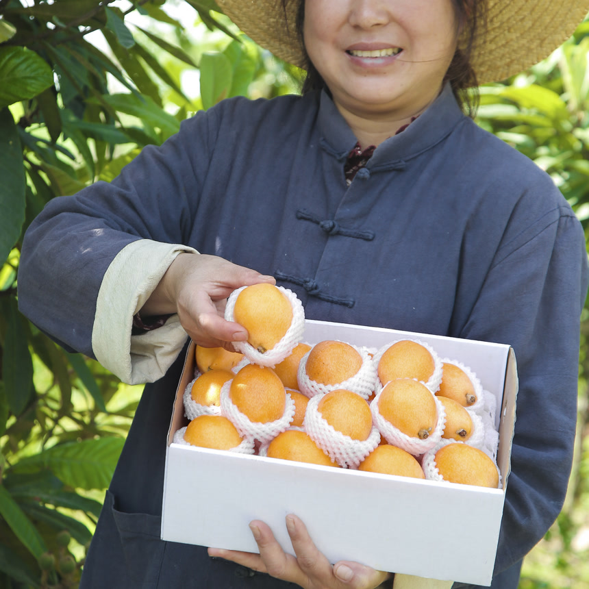 手里拿着五星枇杷