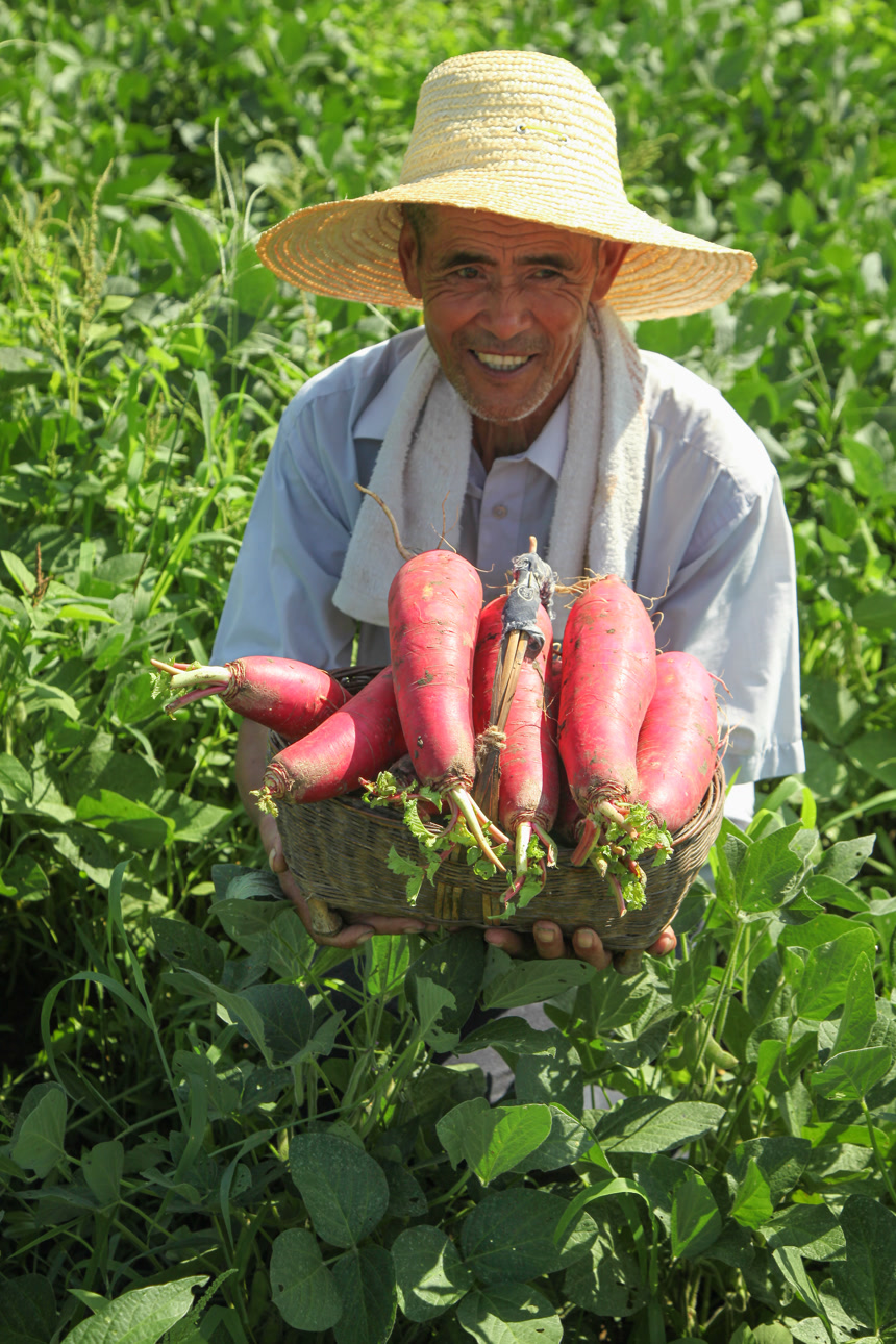 手里拿着红萝卜