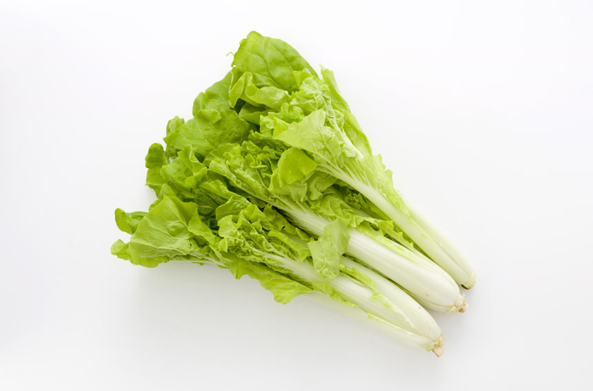 山东菜大白菜三头菜绿色有机蔬菜