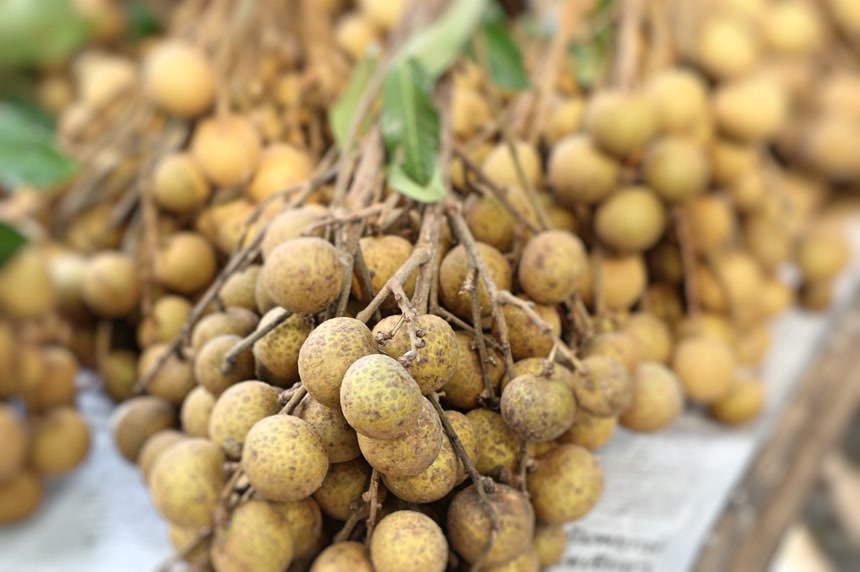 堆放的水果--龙眼    水果店宣传图