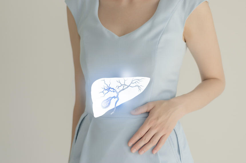 胆囊消化系统问题的概念图医疗健康