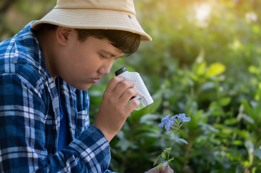 正在室外观察植物的男孩生活方式