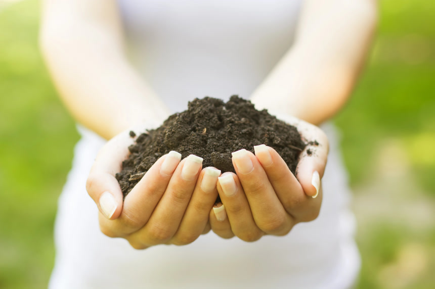 双手捧起土壤特写图环境保护 插画