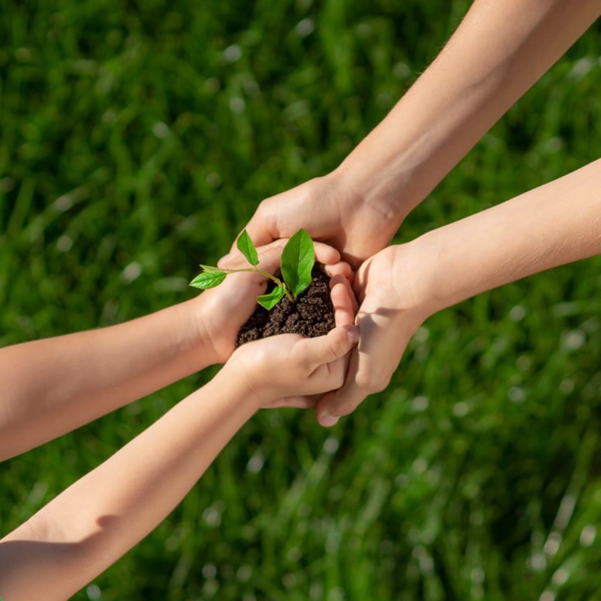 孩子们手里拿着嫩绿色的植物.保护大自然