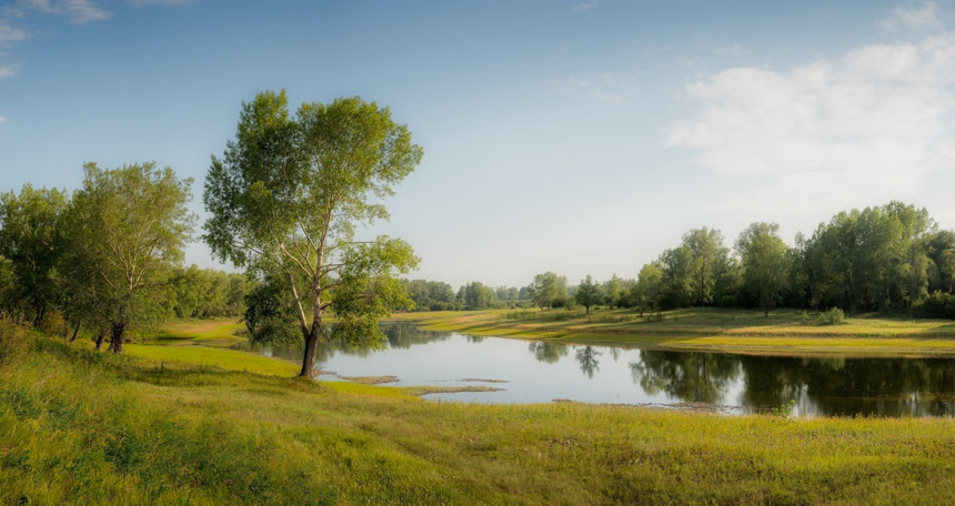 安静的叶尼塞河河故道早晨图自然风景
