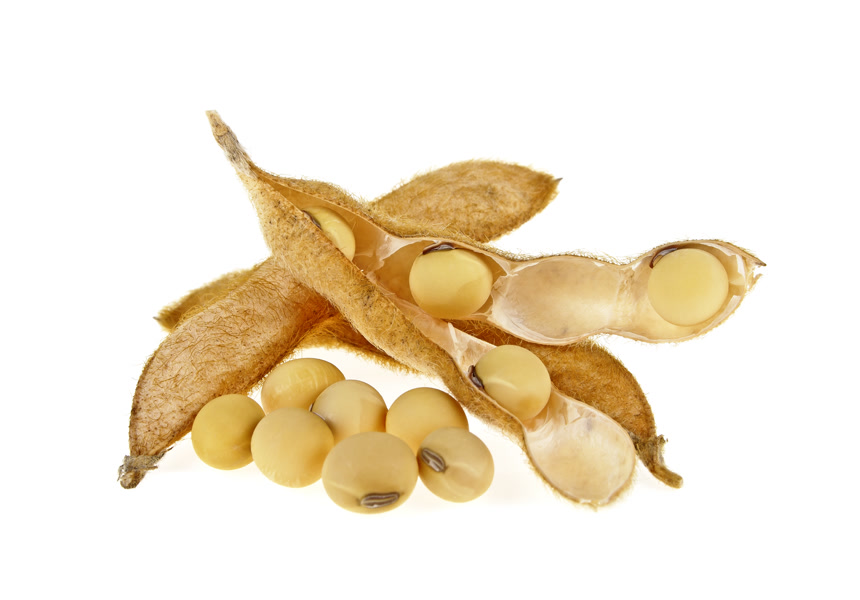 白色背景下大豆和豆荚食品健康