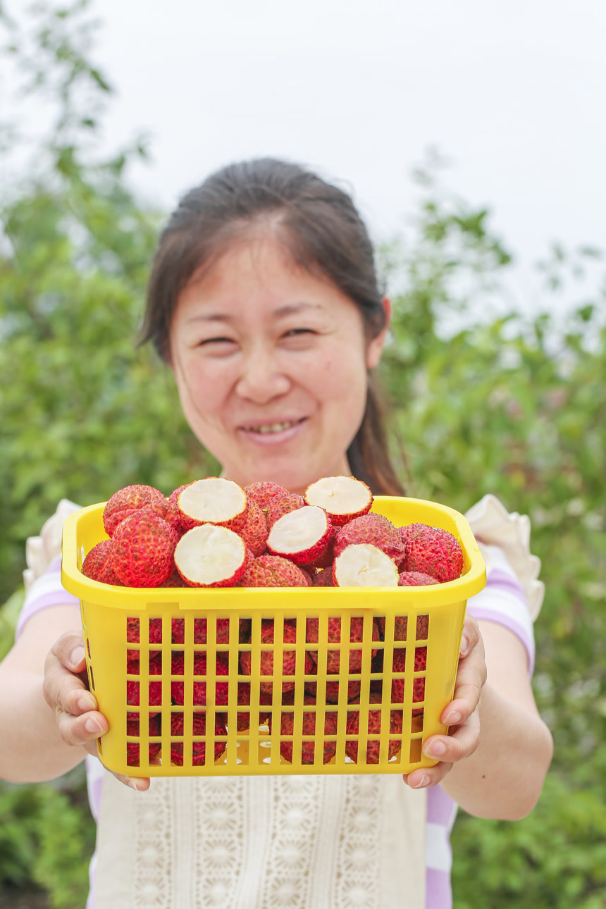 手里拿着无核荔枝
