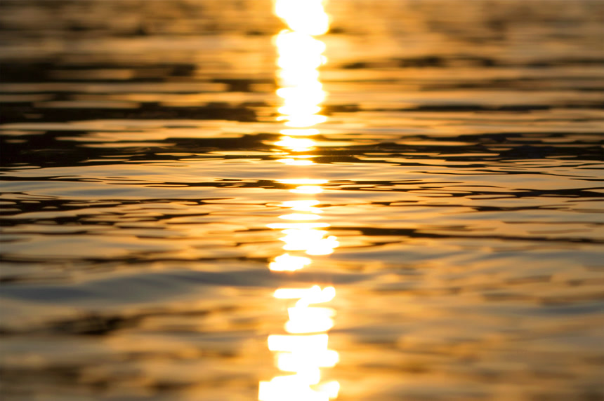水面上的金色倒影自然风景