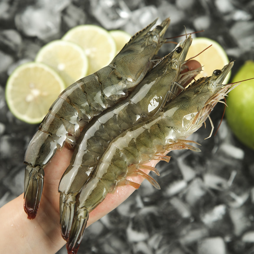 手里拿着青岛大虾