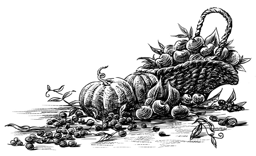 秋天丰收的剪影白底图农业