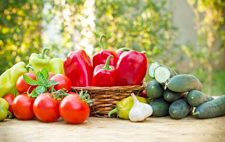 农田菜地农业种植桌上堆放在一起的蔬菜