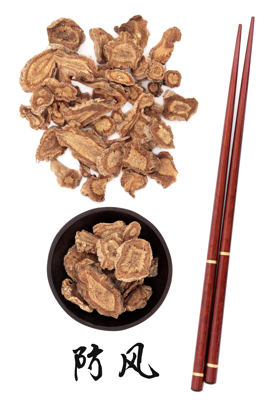 牛蒡根切片中草药药材白底图