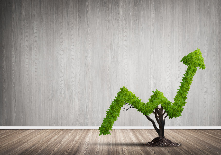 裁剪成涨跌箭头的绿色树木背景图片