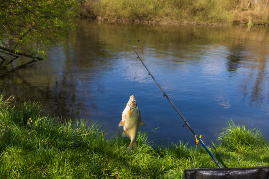 被钓到的鱼B钓竿上休闲生活方式