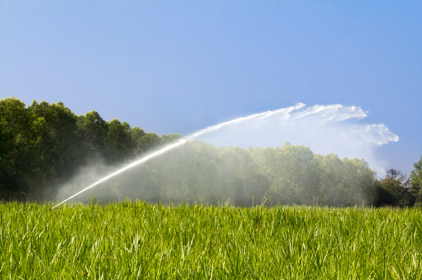 农场草地灌溉喷水的喷头生活场景