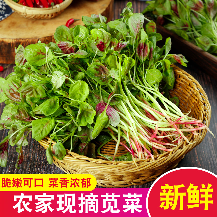 新鲜苋菜主图