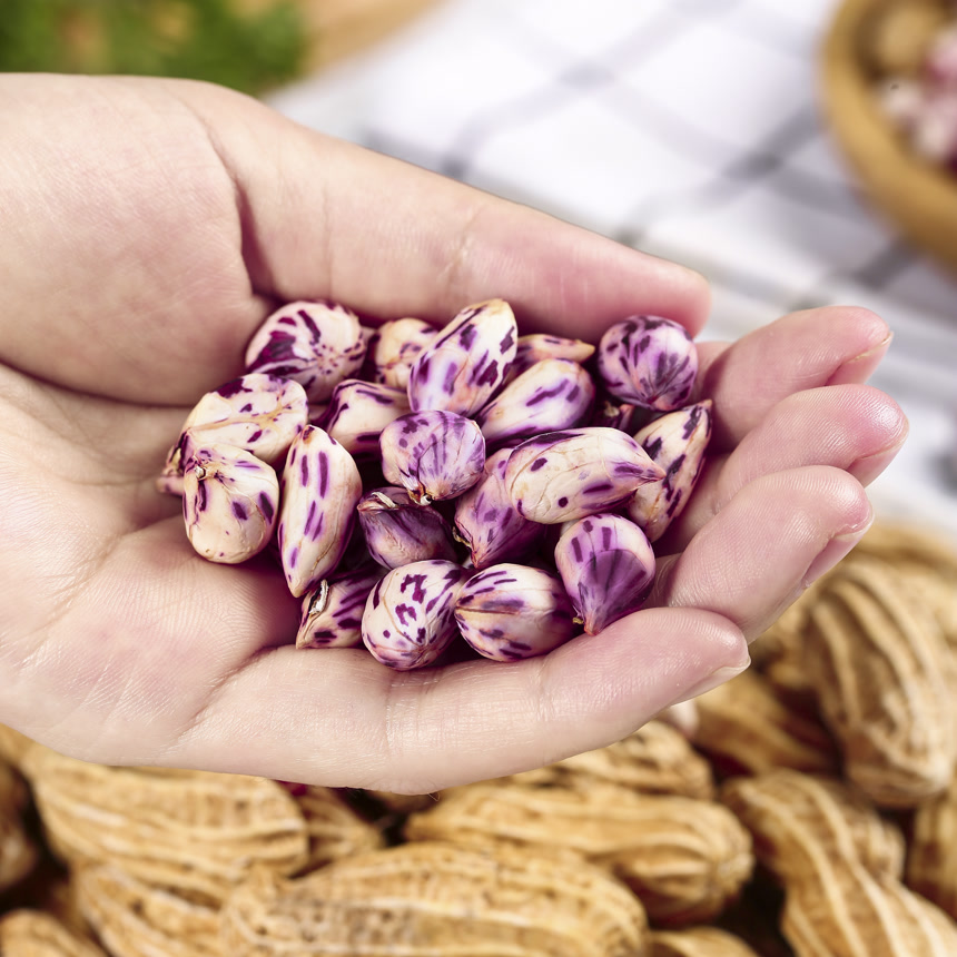 浅底上的七彩花生