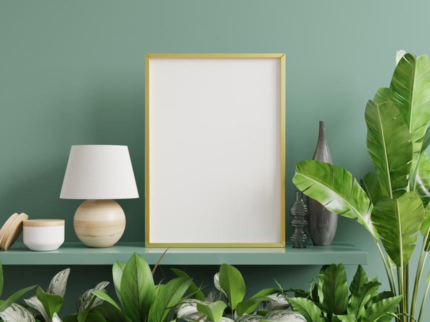 绿色架子上有美丽植物留白相框图片背景