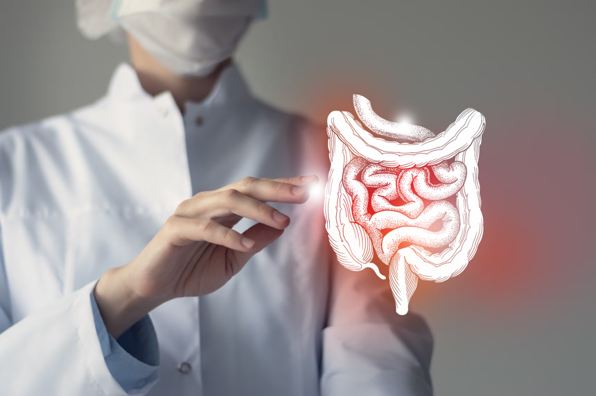 女医生手里拿着虚拟肠道人体器官医疗人像