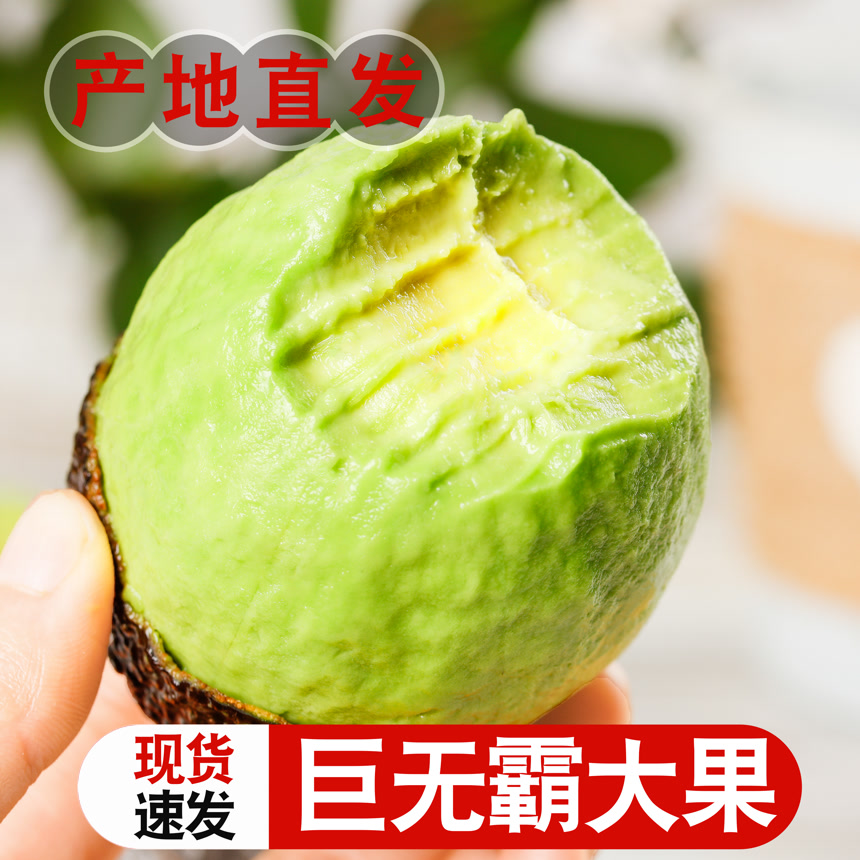 墨西哥牛油果主图