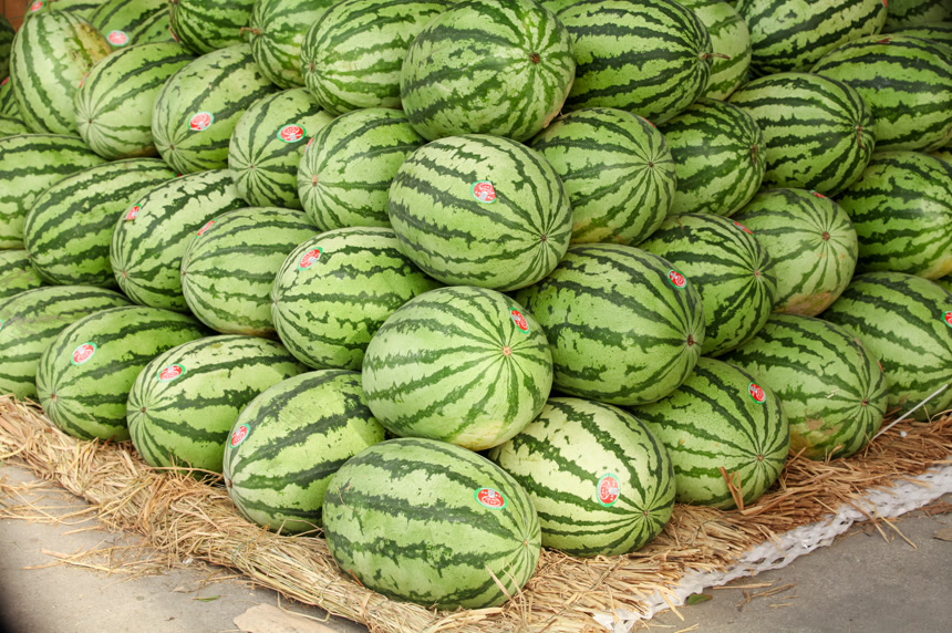 堆放着的美都西瓜