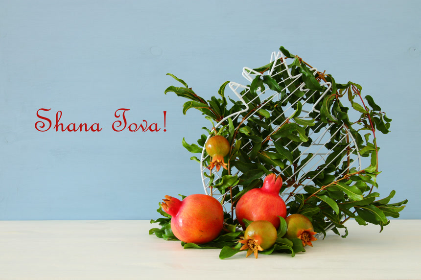 新年石榴绿植装饰盆栽花店宣传