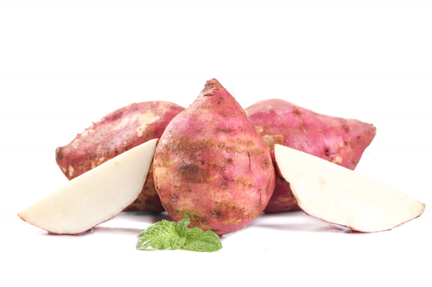 白底上的白心板栗薯