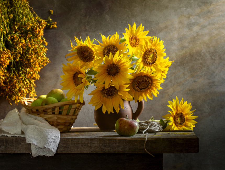 一束放在粘土罐子里的太阳花生活方式