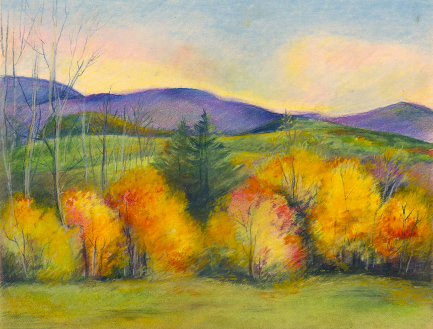 秋天的山地景观树林有枯树有绿树还有群山 