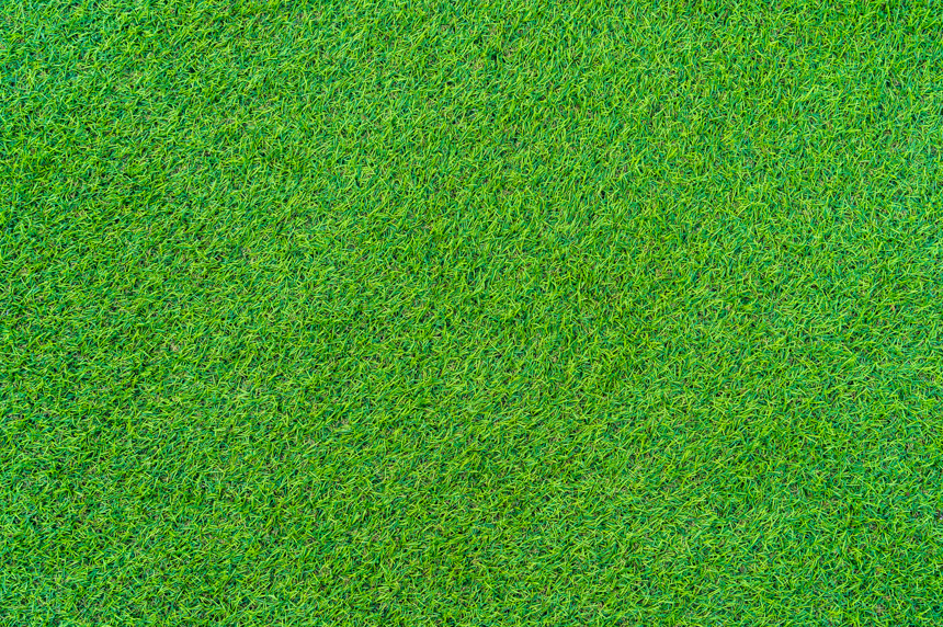 抽象绿草纹理和表面自然风光绿色纹理