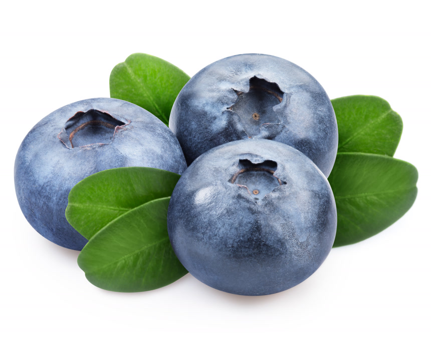 三颗新鲜蓝莓水果店宣传白底图