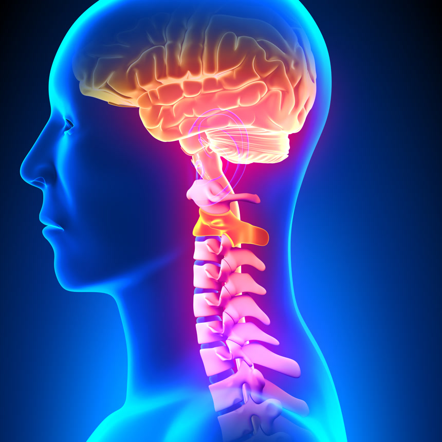 脊柱颈椎健康人体医学人体关节