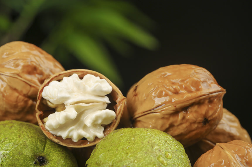 浅底上的青核桃