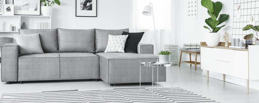 室内设计灰色沙发和绿色植物室内设计布景