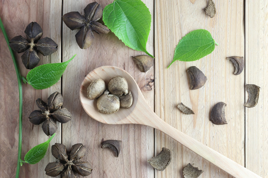 豆科植物和叶子木勺子放在木桌上健康生活方式