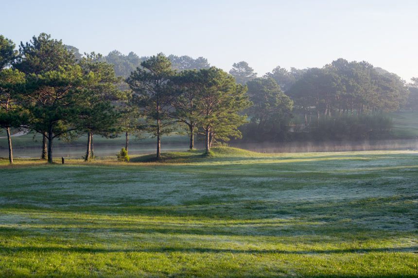 阳光、树林、草地美景壁纸图    环境创意设计中的应用