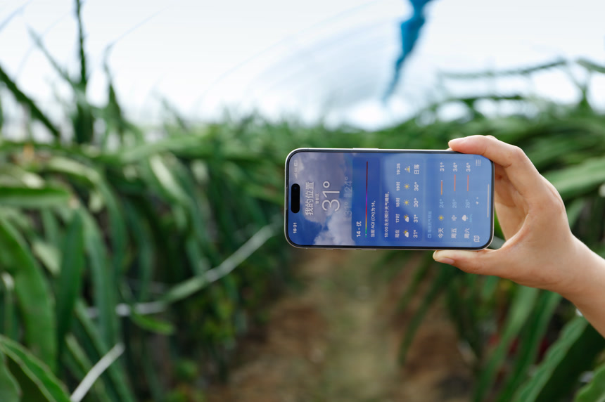 火龙果种植 温控监测