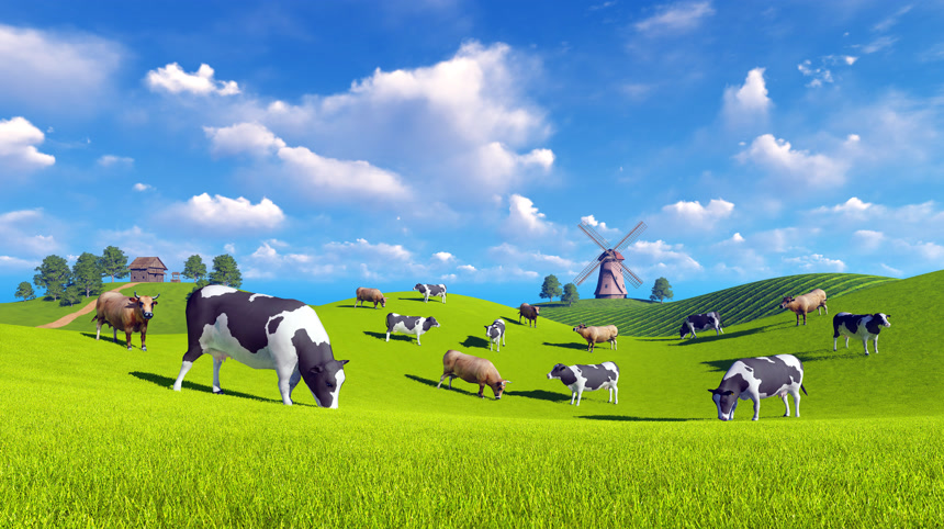 蓝天白云下吃草的牛群放牧场景三维立体图