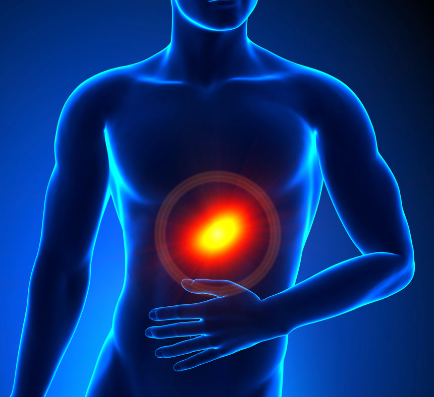 人体肚子痛3d透视图