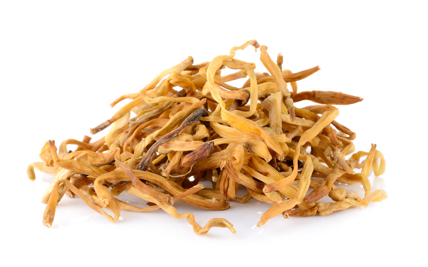 白底图上晒干的黄花菜