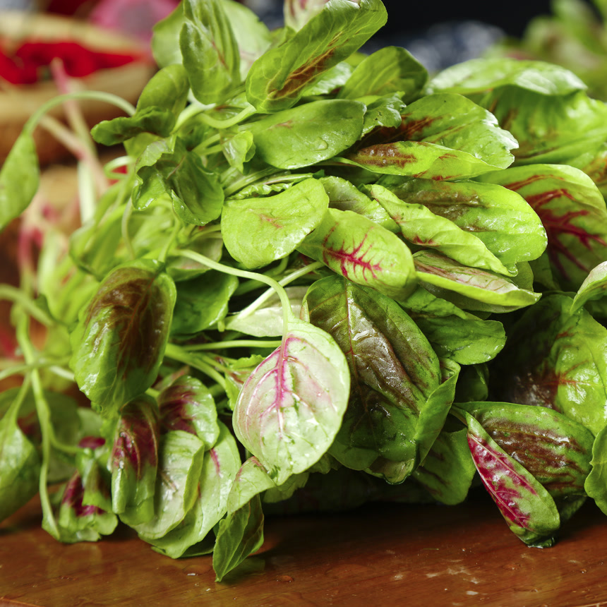 木底上的红苋菜