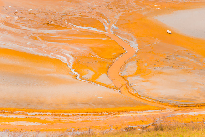 被污染的湖水环境生态背景壁纸