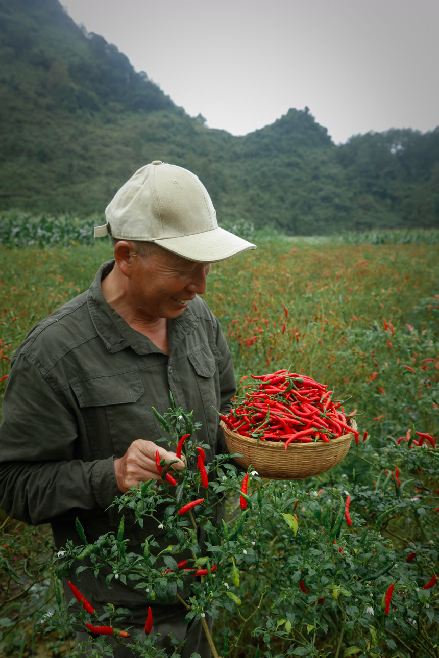 夏季菜园中的农民