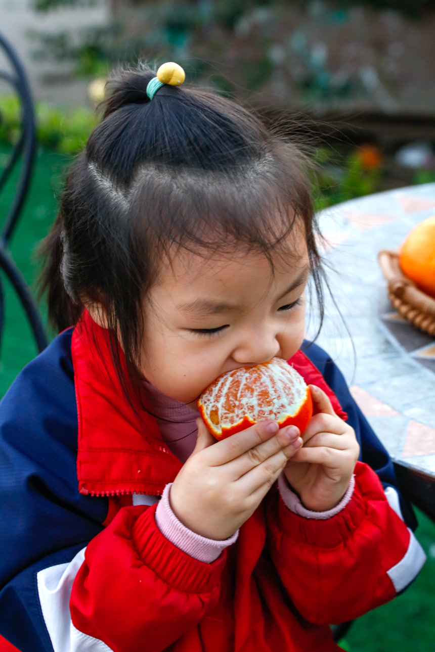 小孩正在吃着蜜桔