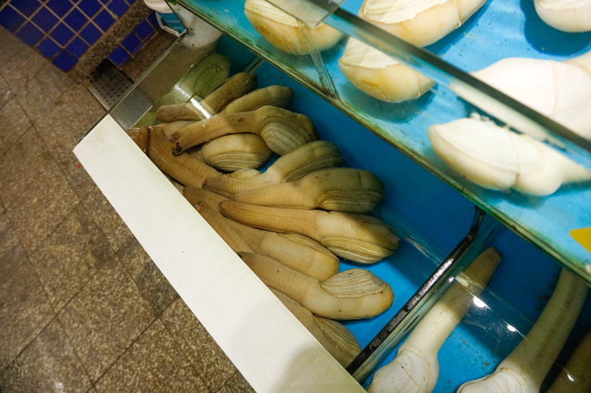 海鲜市场象牙蚌