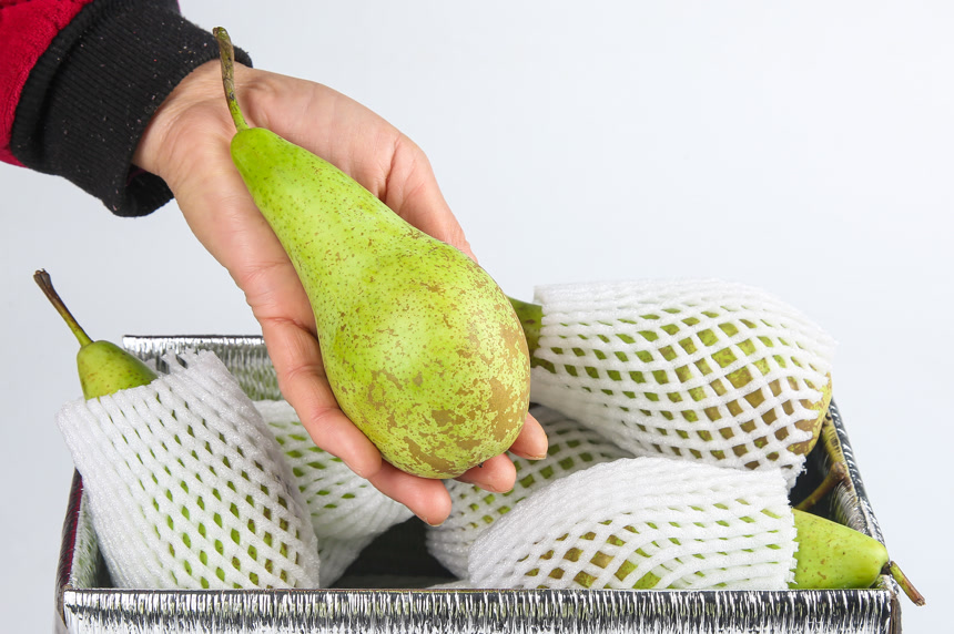 白底上的进口啤梨