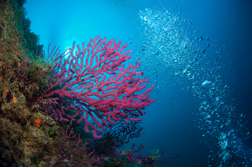 美丽的大海的颜色自然风光多彩大海