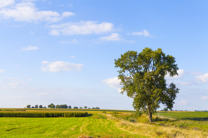 美国农村空气清新 一望无际 壁纸风景