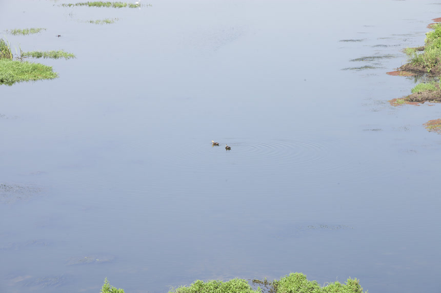清澈风底的湖水