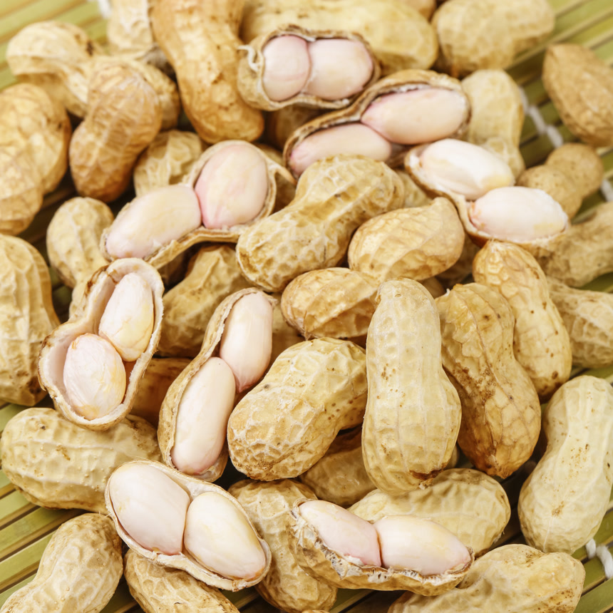 浅底上的新鲜花生